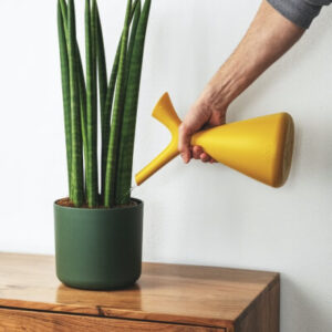 plants-store-gallery-img-2.jpg