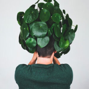 plants-store-gallery-img-3.jpg